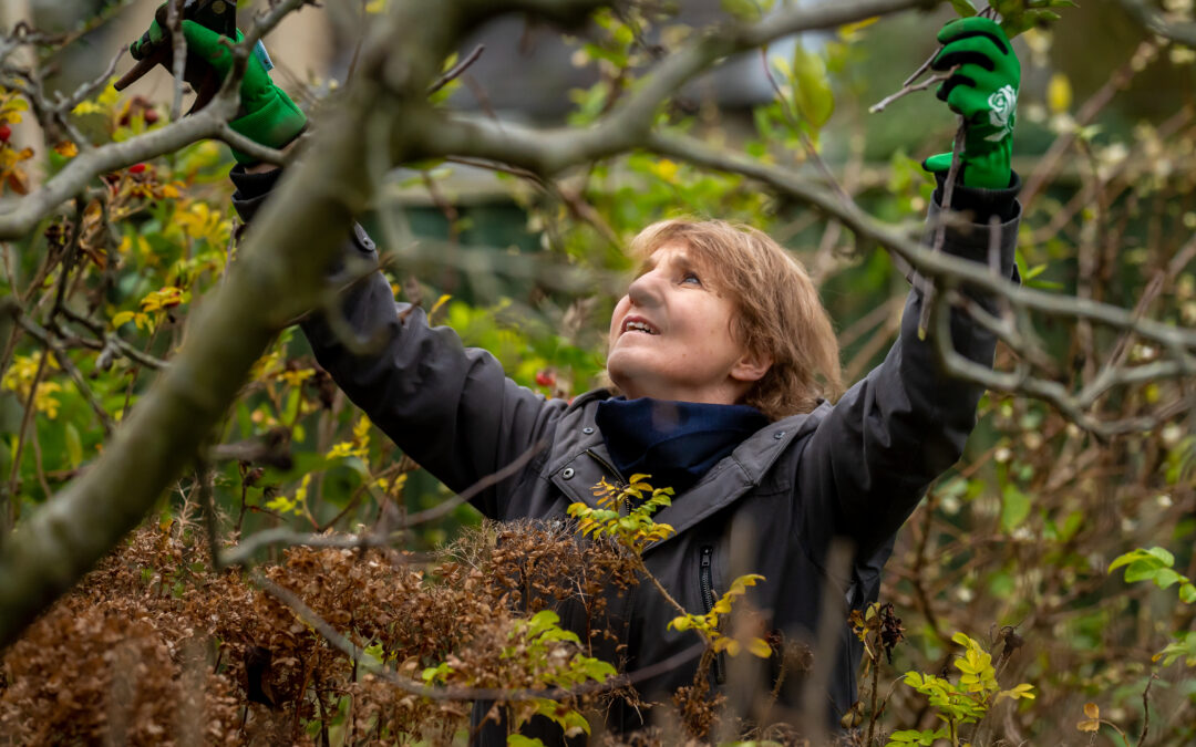 Mensen met mentale problemen sneller en beter geholpen door nieuwe samenwerking in Haaglanden